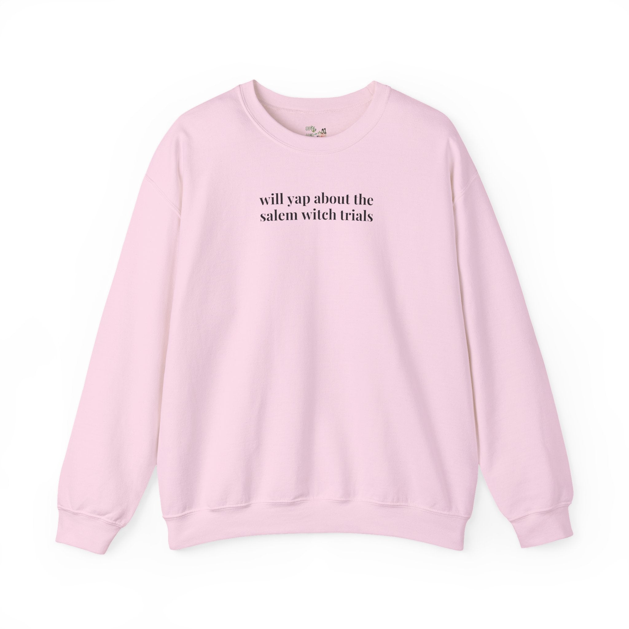 Witchy History Lover Sweatshirt: Salem Witch Trials